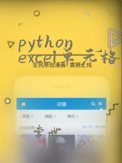 python excel单元格类型