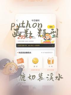 python 函数类型