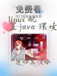 linux 配置java 环境