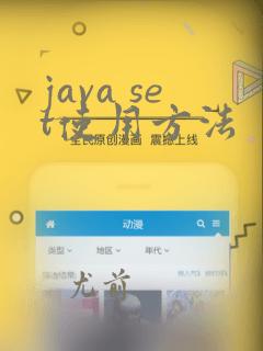java set使用方法