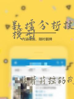 数据分析技术的模型