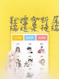 数据分析属于前端还是后端