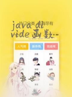 java divide函数