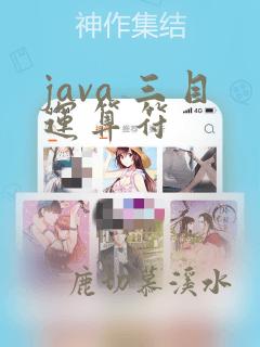 java 三目运算符