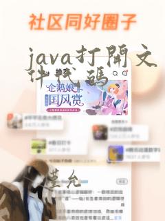 java打开文件代码