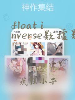 float inverse数据类型