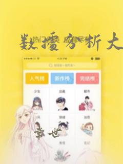 数据分析大数据