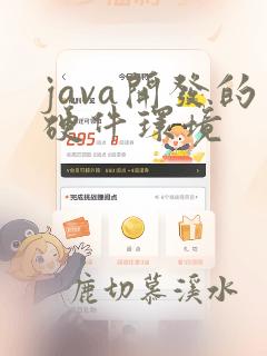 java开发的硬件环境