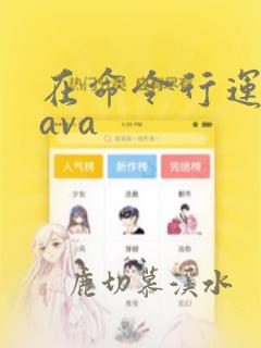 在命令行运行java
