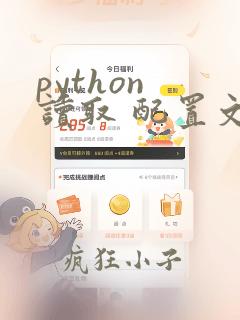 python 读取 配置文件