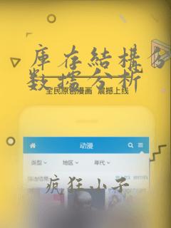 库存结构分析和数据分析