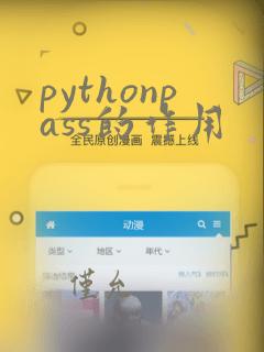 pythonpass的作用