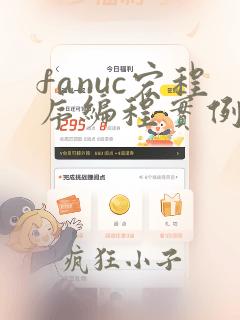 fanuc宏程序编程实例