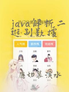 java解析二进制数据