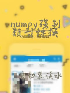 numpy强制类型转换