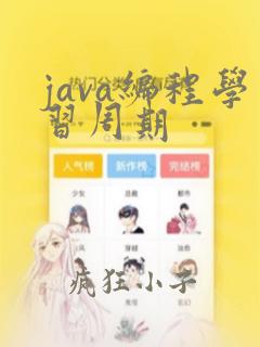 java编程学习周期