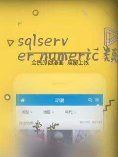 sqlserver numeric类型