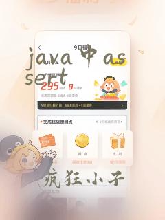 java中assert