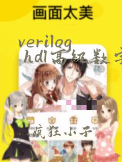 verilog hdl高级数字设计(第二版)