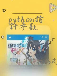 python指针参数