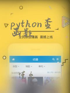 python查函数