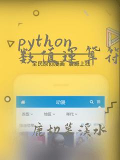 python 数值运算符