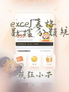 excel表格数据分类统计