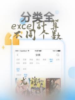 excel计算不同个数