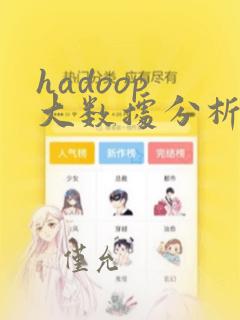hadoop 大数据分析
