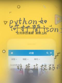 python如何打开json文件