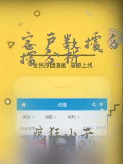 客户数据分析数据分析