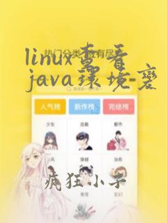 linux查看java环境变量配置