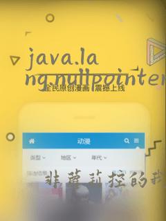 java.lang.nullpointerexception翻译