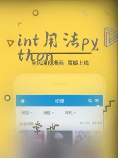 int用法python