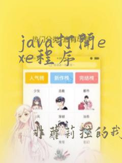 java打开exe程序