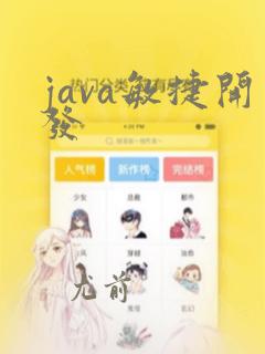 java敏捷开发