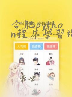 合肥python程序学习机构