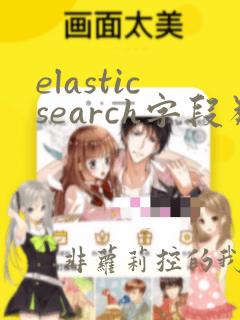 elasticsearch字段类型