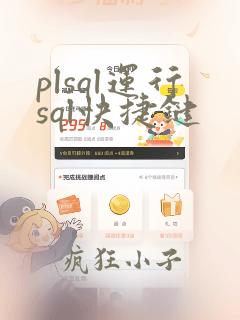 plsql运行sql快捷键