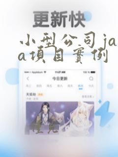 小型公司java项目实例