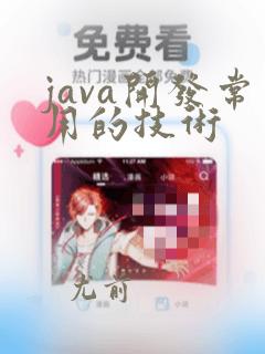 java开发常用的技术