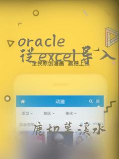 oracle 从excel导入数据