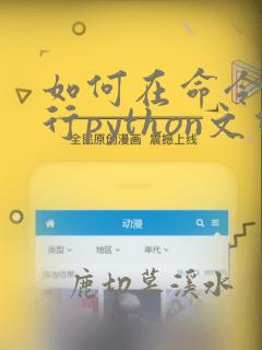 如何在命令行运行python文件