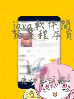 java软件开发是程序员吗