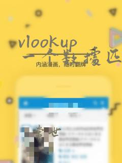 vlookup一个数据匹配多行数据
