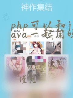 php可以和java一起用吗
