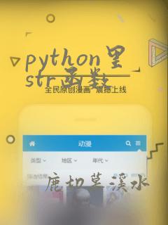 python里str函数