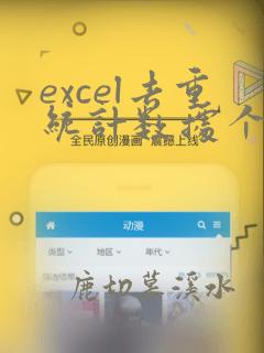 excel去重统计数据个数