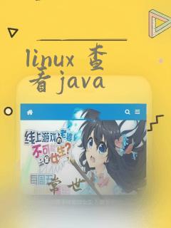 linux 查看java