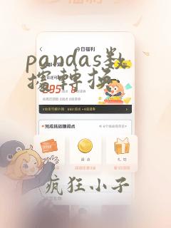 pandas数据转换